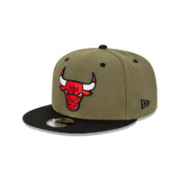 New Era Hat Chicago Bulls Olive/Black image