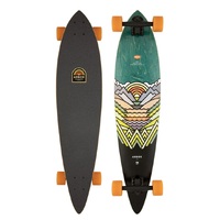 Arbor Complete Longboard Performance Artist Fish 37 Inch Length image