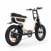 Fatboy electric bike outlet