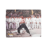 DGK Banner Bruce Lee Warrior image