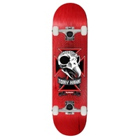 Birdhouse Complete Level 1 Skull Red 8.0 Inch Width image
