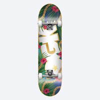 DGK Complete Vacation 8.0 Inch Width image