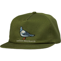 Antihero Hat Lil Pigeon Safari Green image