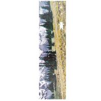 Grizzly Grip Tape Antique Postcard TAN GREEN FIELD image