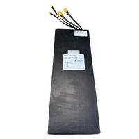 E-Scooter Battery 52v 18.2Ah Dual Motor image