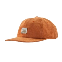 Patagonia Hat Corduroy Cap 73 Skyline Robin Brown image