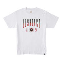 DC Tee Dropout Snow Heather image