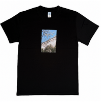 Boardstore Tee x Cody McMillan Cherry Blossom Heavy Black image