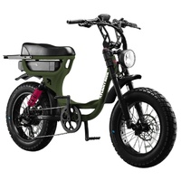 Flight Risk Electric Bike FR333 Olive image