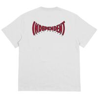 Independent Youth Tee Spanning White image