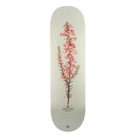 Passport Deck Reissue Callum Paul Pink Heath 8.5 Inch Width image