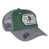 Passport x Ace Hat Packers Trucker Green/Steel image