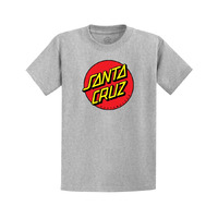 Santa Cruz Youth Tee Classic Dot Front Grey Marle image