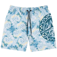 Santa Cruz Youth Boardshorts Malba Crash Dot Mono Teal Tie Dye image