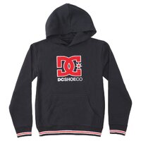 DC Youth Jumper Dropout Premium Hoodie Black image