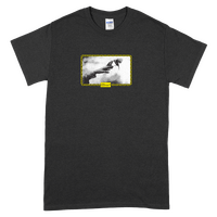 Eternal Tee Birds Black image