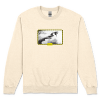 Eternal Sweater Birds Sand image