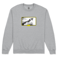 Eternal Sweater Birds Sports Grey image