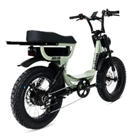 fatboy Electric Bike The Harlem V2 Sage Green image