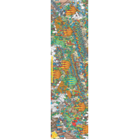 Fruity Grip Wheres Wally Robin Hood image