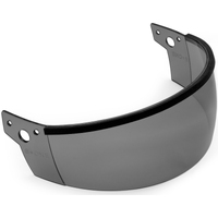 S-One S1 Lifer Visor Tint image