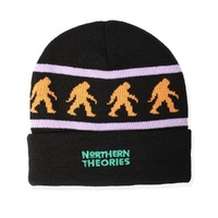 Theories Beanie Northern Theories Black image
