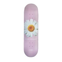 Visit Deck 8.25 Daisy image