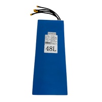 E-Scooter Battery 48v 16Ah Dual Motor image