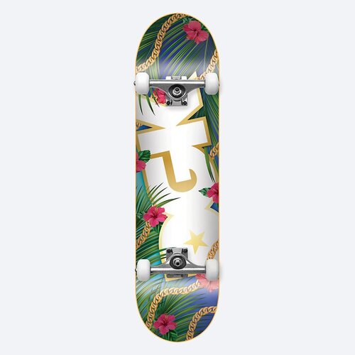 DGK Complete Vacation 7.5 Inch Width