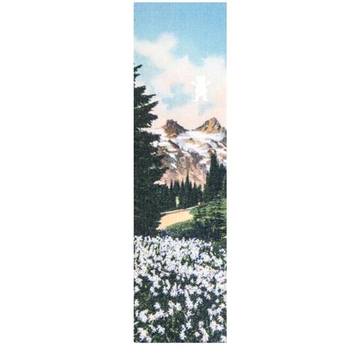 Grizzly Grip Tape Antique Postcard GREEN VALLEY