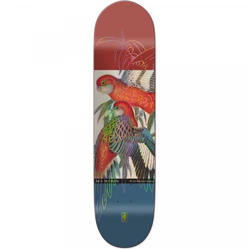 Girl Deck Ecol OG Rick McCrank 8.5