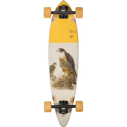 Globe Complete Pintail Falcon 34 Inch
