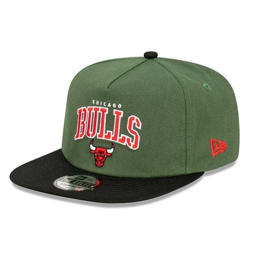 New Era Hat Chicago Bulls The Golfer Green/Black