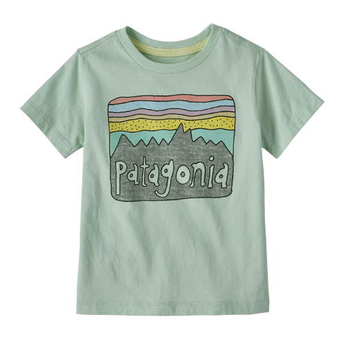Patagonia Youth Tee Regenerative Organic Certified Cotton Fitz Roy Skies Lite Distilled Green [Size: Youth 3]