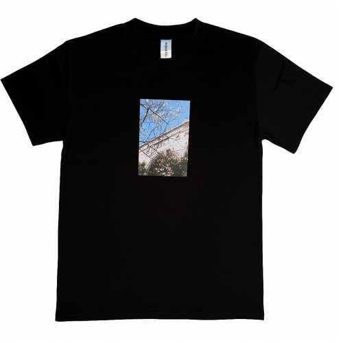 Boardstore Tee x Cody McMillan Cherry Blossom Heavy Black [Size: Mens Small] [Colour: Black]
