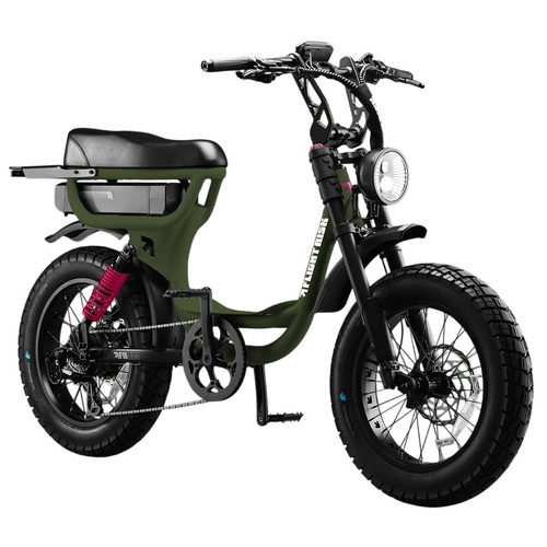 Flight Risk Electric Bike FR333 Olive