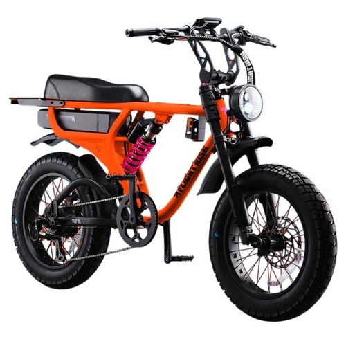 Flight Risk Electric Bike FR555 Orange