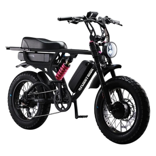 Flight Risk Electric Bike FR777 Black (Dual Motor, Dual Battery)