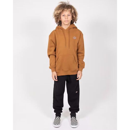 Dickies Youth Jumper H.S Rockwood Hoody Brown Duck [Size: Youth 8/XSmall]