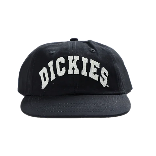 Dickies Hat 6 Panel Princeton Black