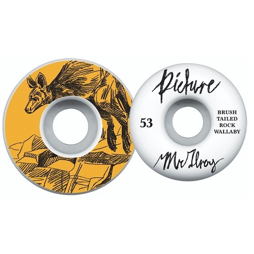 Picture Wheel Co Wheels Ben Horton Series Joel Mcilroy 53mm