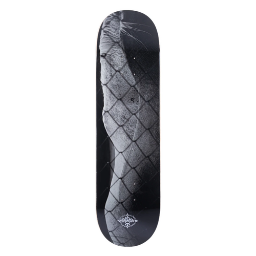Passport Deck D.G Steed 8.5 Inch Width