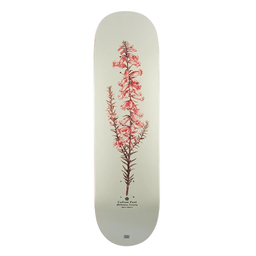 Passport Deck Reissue Callum Paul Pink Heath 8.25 Inch Width