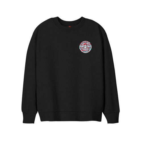 Santa Cruz Youth Jumper Decoder Roskopp Crew Black [Size: Youth 10/Small]