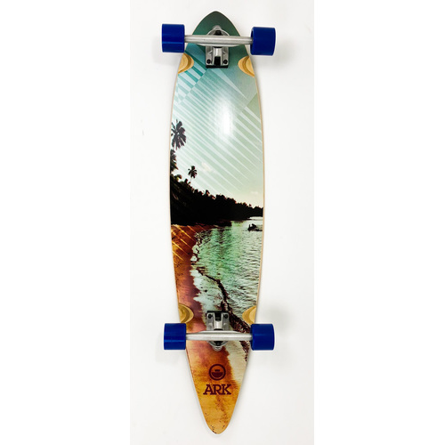 Ark Complete Longboard Beach Pintail 42