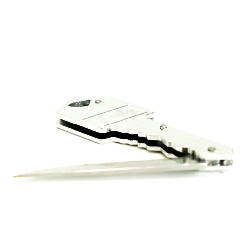Fruity Keyring/Knife Silver
