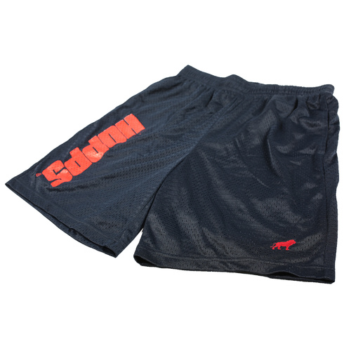 Hopps Shorts BigHopps Bball Navy [Size: Mens Large]