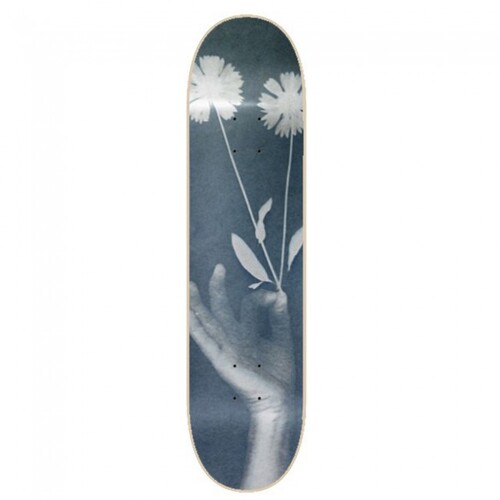 Isle Deck Exposure Jon Nguyrn 8.125