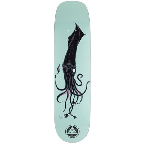 Welcome Deck Squid On Phoenix Teal 8.0
