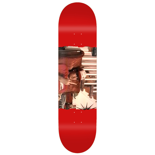 Toy Machine Deck Templeton Flip 8.5